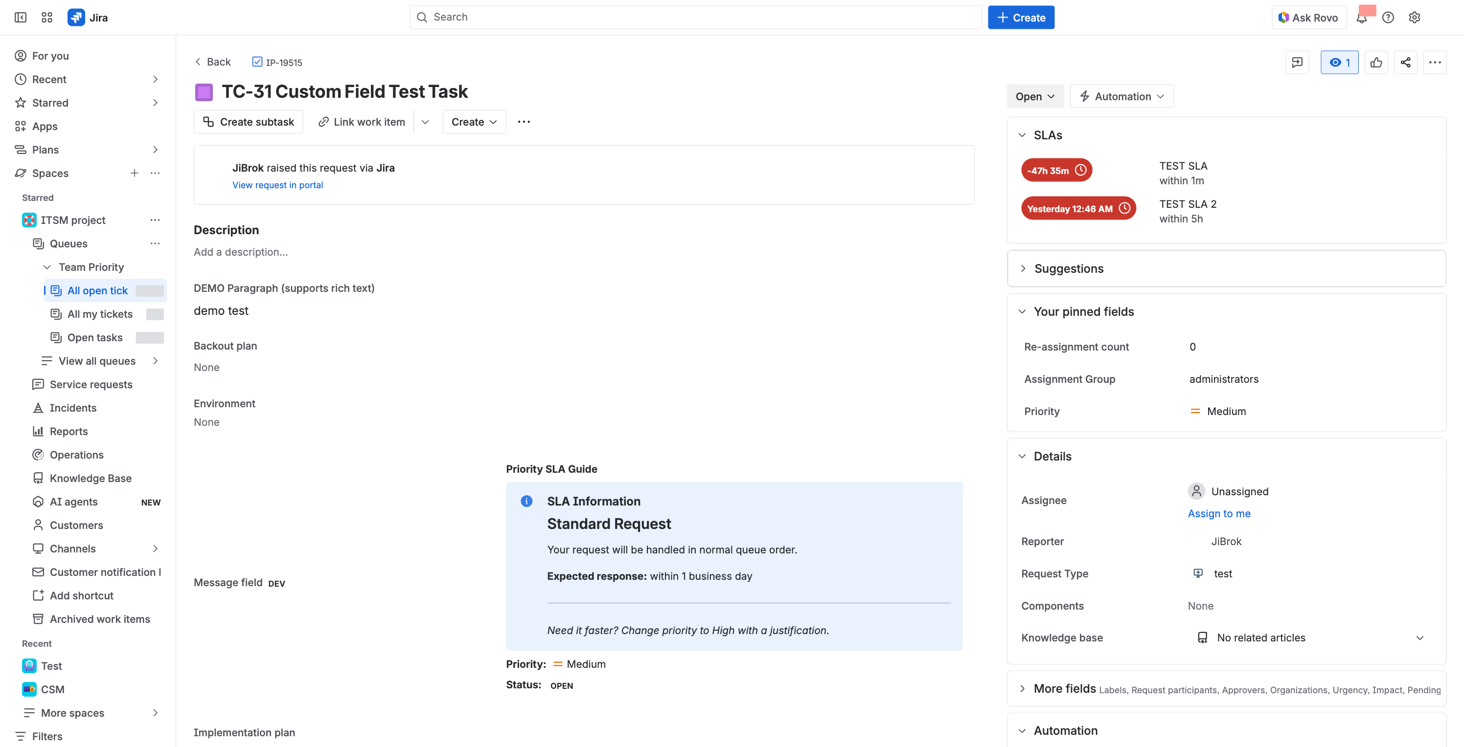 Custom field on issue view